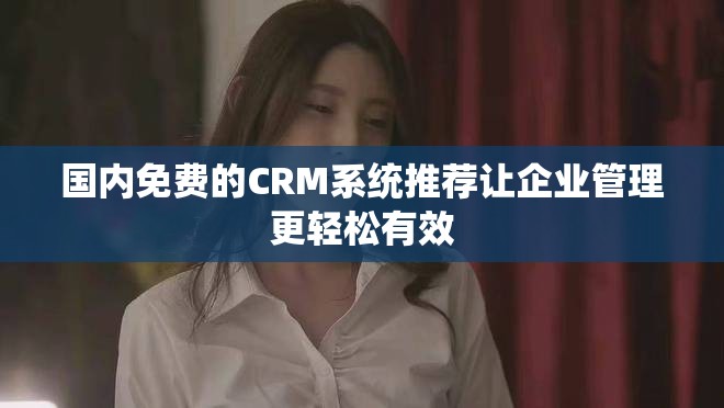 国内免费的CRM系统推荐让企业管理更轻松有效