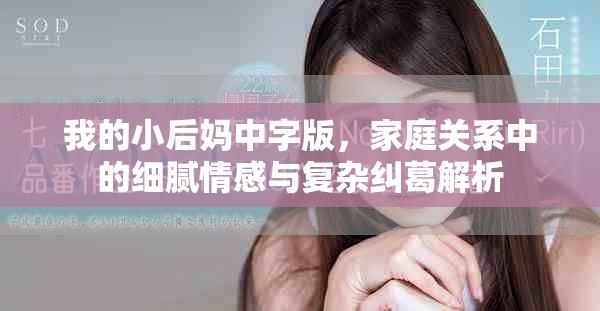 我的小后妈中字版，家庭关系中的细腻情感与复杂纠葛解析