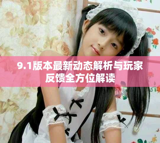 9.1版本最新动态解析与玩家反馈全方位解读