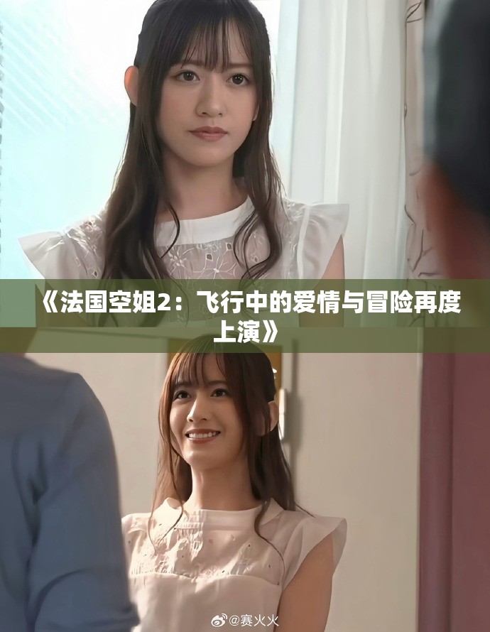 《法国空姐2：飞行中的爱情与冒险再度上演》