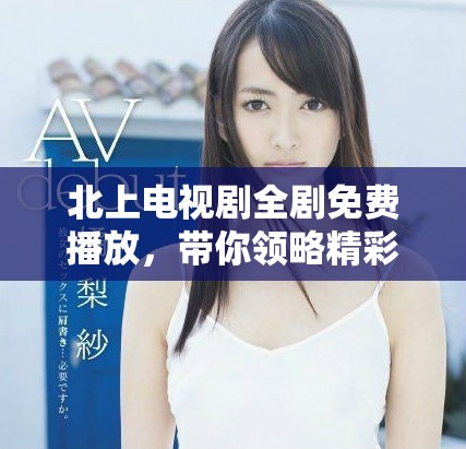 北上电视剧全剧免费播放，带你领略精彩故事与人物情感