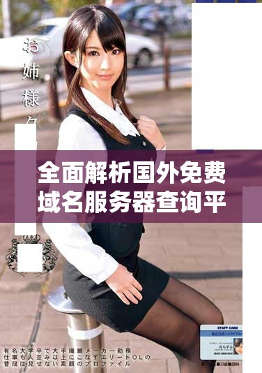 全面解析国外免费域名服务器查询平台的使用方法