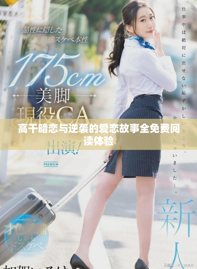 高干暗恋与逆袭的爱恋故事全免费阅读体验