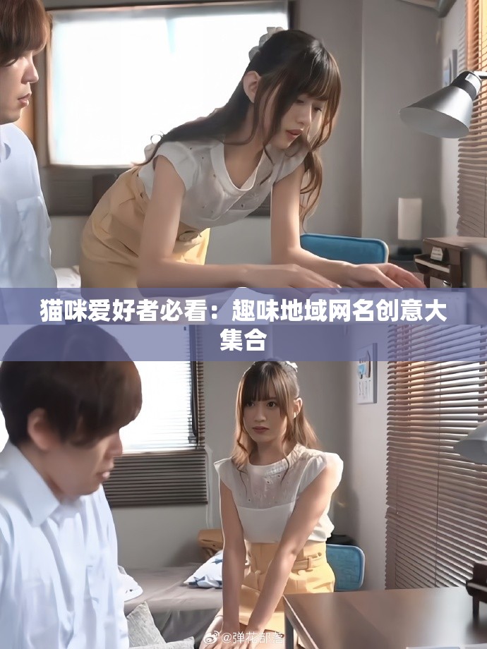 猫咪爱好者必看：趣味地域网名创意大集合