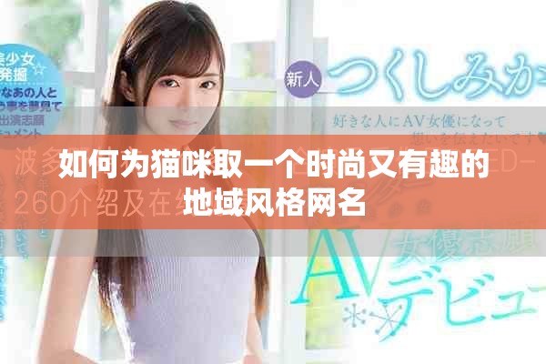 如何为猫咪取一个时尚又有趣的地域风格网名