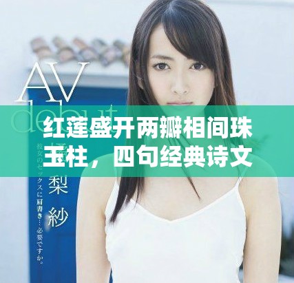 红莲盛开两瓣相间珠玉柱，四句经典诗文展现华美情怀